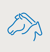 kachelnavi supplemente zucht